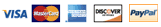 Visa, Mastercard, Discover, American Express, PayPal