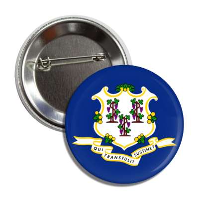 connecticut state flag usa button