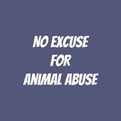 No Excuse For Animal Abuse Button | Wacky Buttons