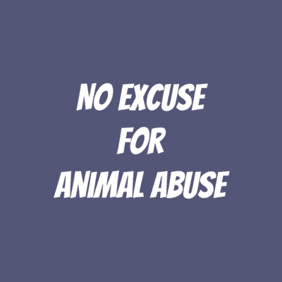No Excuse For Animal Abuse Button | Wacky Buttons No Excuse For Animal Abuse Button | Wacky Buttons
