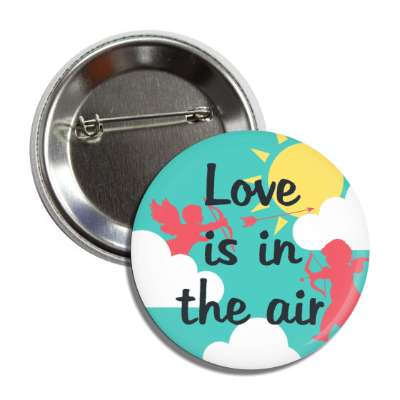 love is in the air teal sky button