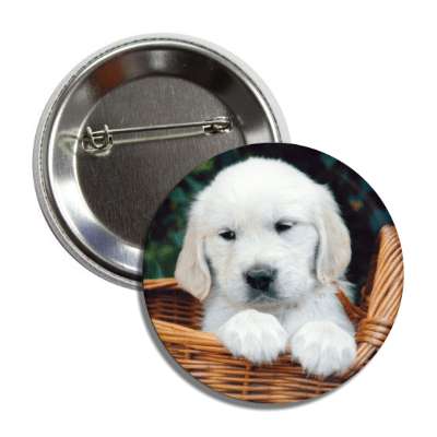 puppy in basket button