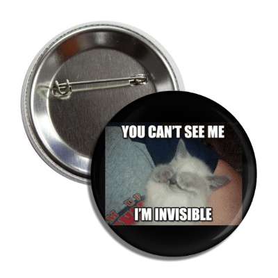 you cant see me im invisible button