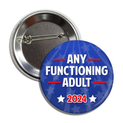 any functioning adult 2024 usa election button
