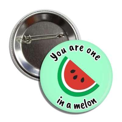 You Are One In A Melon Watermelon Pun Button | Wacky Buttons
