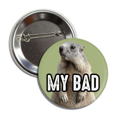 my bad funny groundhog shadow more winter button
