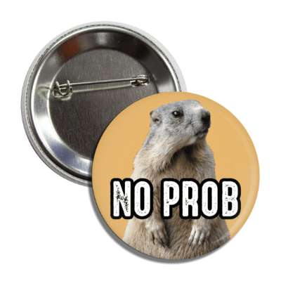 no prob funny groundhog no shadow early spring button