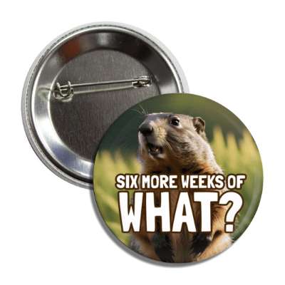 six more weeks of what shocked groundhog button