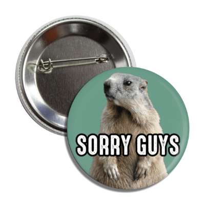 sorry guys funny groundhog shadow more winter button
