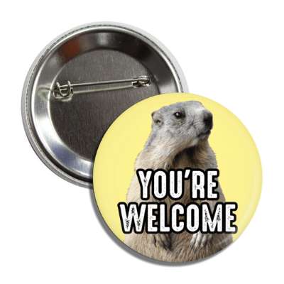 youre welcome funny groundhog no shadow early spring button